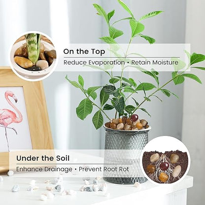 SIDONG 5 LB Mixed River Rocks, 0.3-0.5 Inches High Polished Pebbles for Indoor Plants, Aquarium Rocks Used in Fish Tank, Decorative Stones for Plants, Vases, Home Décor, Crafting, Garden Landscaping