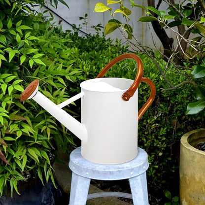 Metal Watering Can with Removable Spout, Galvanized Watering Can, Perfect for Indoor Use and for Outdoor Use (1 Gallaon, White)