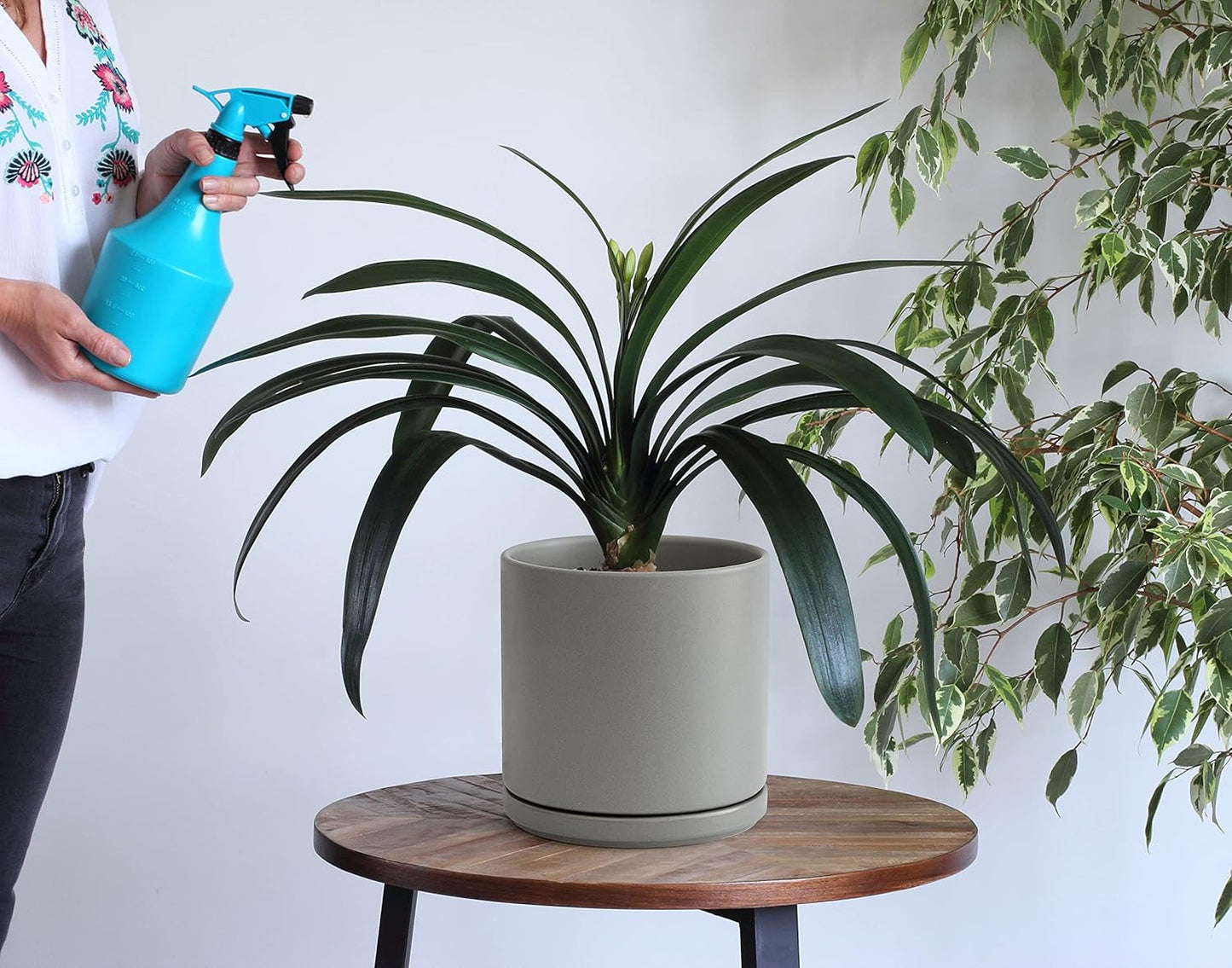 D'vine Dev 6 Inch & 8 Inch Ceramic Planter Pots for Plants with Drainage Hole and Saucer, Medium Plant Pots Set, Grey, 94-G-M-3