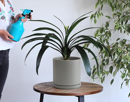 D'vine Dev 10 Inch Ceramic Planter Pot with Drainage Hole and Saucer, Indoor Cylinder Round Planter Pot, Grey, 94-O-E-3