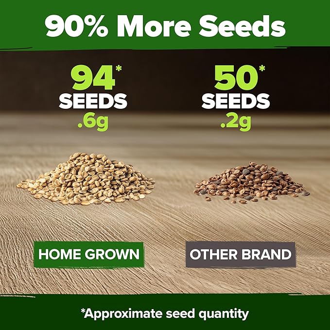 HOME GROWN 𝗨𝗦𝗔 𝗣𝗥𝗘𝗠𝗜𝗨𝗠 Banana Pepper Seeds Pack – 94 𝗡𝗢𝗡-𝗚𝗠𝗢 Heirloom Vegetable Seeds – High Germination Sweet Peppers for Planting Indoors or Outdoor Garden (Capsicum annuum) (1pack)