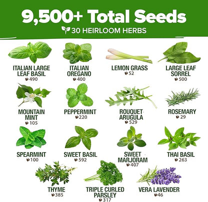 HOME GROWN 30 Herb Seeds for Planting 9,500+ Non-GMO Heirloom Seeds | Extra Large Variety Pack Herb Kit – Indoor Outdoor & Hydroponic | Culinary Seed Set | Grow Your Own Herbs | Gardening Gift