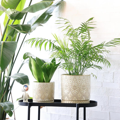 8 Inch + 6 Inch Indoor Plant Pot with Drainage Holes and Saucers, Ceramic Planter for Plants, Succulent Orchid Flower Pots