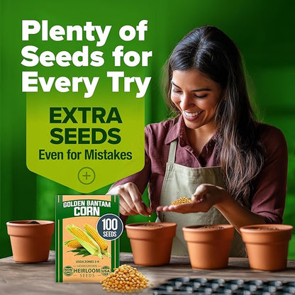 HOME GROWN 𝗨𝗦𝗔 𝗣𝗥𝗘𝗠𝗜𝗨𝗠 Golden Bantam Corn 1 Pack 100 𝗡𝗢𝗡-𝗚𝗠𝗢 Heirloom Vegetable Seeds Grow Sweet Corn Outdoors Easy for Beginners & Great for Home Gardeners High Germination (Zea mays)