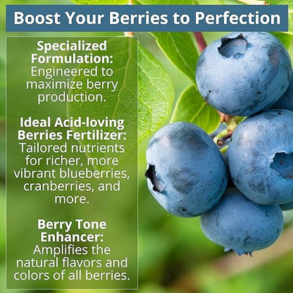 8-4-8 Acidic Fertilizer for Azaleas, Camellias (Camelia), Hydrangeas, Blueberries, Gardenias, Magnolia Trees, Evergreens, and Rhododendrons - Ideal Iron-Rich Plant Food (12 OZ)