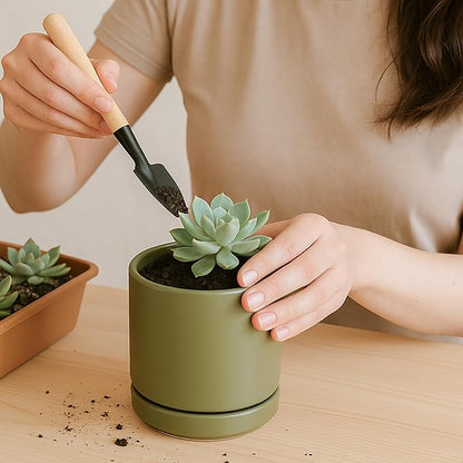 D'vine Dev 3.5 Inch Ceramic Planter Pot with Drainage Hole and Saucer, Indoor Cylinder Round Planter Pot, Olive, 94-O-A-J