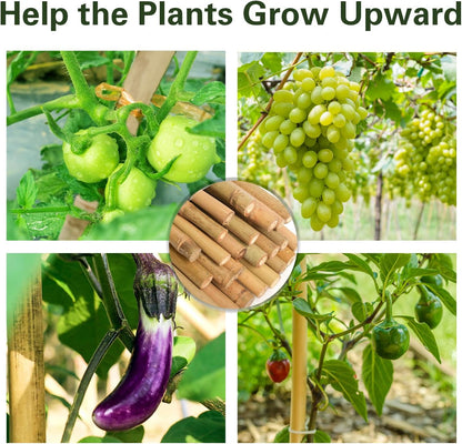 20pcs Bamboo Stakes 6 Feet, 6FT Garden Stakes Multi-Purpose, 5/8" Dia Plant Stakes for Tomatoes, Beans, Cucumbers, Peppers, Potted Trees, Maintain The Plant Posture, Strengthen and Stem