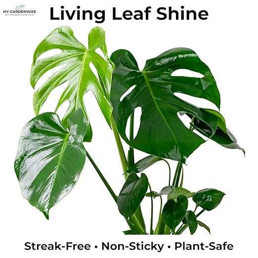 Leaf Shine Spray for Indoor Plants – Plant Leaf Cleaner & Shine for Real House Plants – Fragrance-Free, Non-Sticky, Streak-Free Finish, 8 fl oz