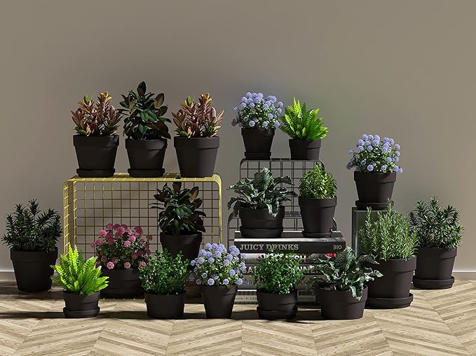 Fcacti 3 Inches Small Black Terracotta Pots with Saucer, 12 Pack 3" Terra Cotta Planter with Drainage Holes, Small Clay Flower Pots for Plants, Succulents, Crafts, Wedding Favor