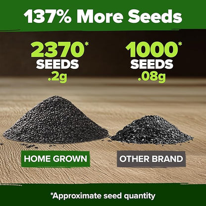 HOME GROWN 𝗨𝗦𝗔 𝗣𝗥𝗘𝗠𝗜𝗨𝗠 Peppermint Seeds Pack – 2,370 𝗡𝗢𝗡-𝗚𝗠𝗢 Heirloom Mint Seeds for Planting. Grow Peppermint Plants in Your Herb Garden Indoors or Outdoors (Mentha x piperita)