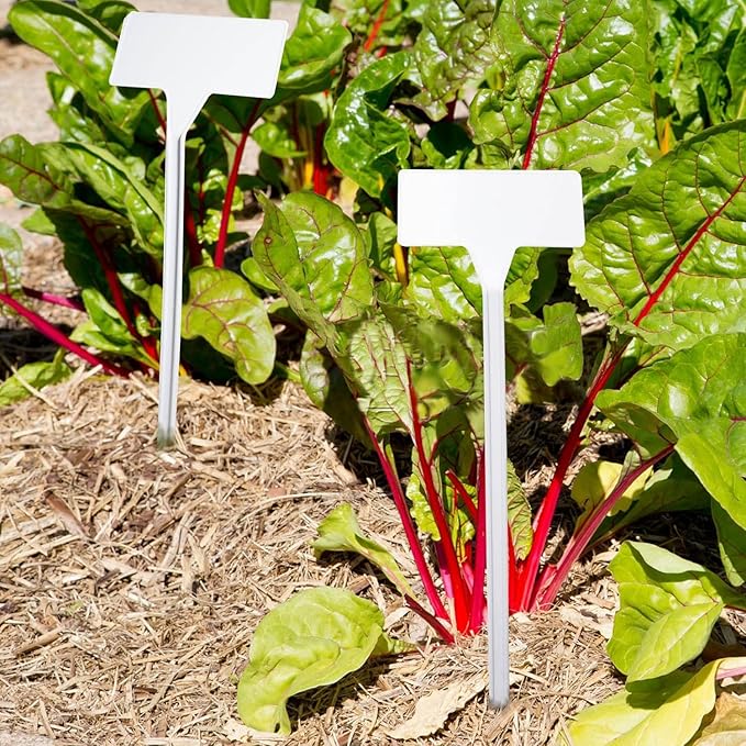 White 30 Pack Outdoor Tall Plant Label, Large Waterproof Plastic Plant T-Type Tags, Durable Nursery Garden Markers, Perfect for Herbs, Flowers, Vegetable with Marking Pen (Height 11.8'')