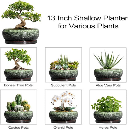 Bonsai Pots - 13 Inch Ceramic Succulent Planters Indoor, Round Shallow Planter with Drainage Hole and Saucer, Large Succulent Pot, Bowl Planter Outdoor, House Decor, Housewarming Gift, Green