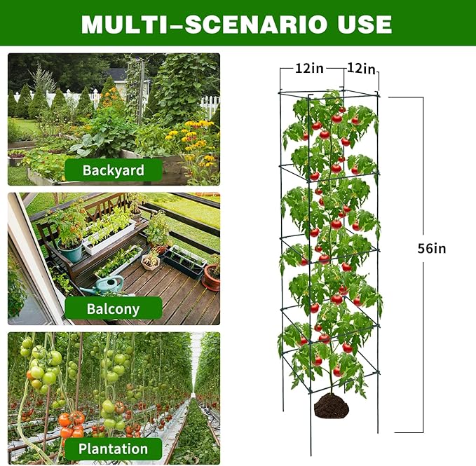 6 Packs Tomato Cages for Garden, 12"×12"×56" Plant Support Cage with Different Spacing, Green Metal Trellis for Climbing Plants Like Cucumber, Flowers