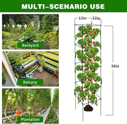 6 Packs Tomato Cages for Garden, 12"×12"×56" Plant Support Cage with Different Spacing, Green Metal Trellis for Climbing Plants Like Cucumber, Flowers