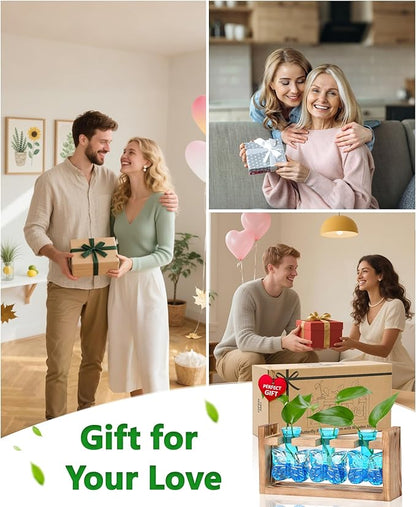 Nacome Butterfly Vase Propagation Stations: Glass Plant Terrarium with Wooden Stand for Home Office Desk Decor, Unique Gifts for Plant Lovers Women Mom (Blue)