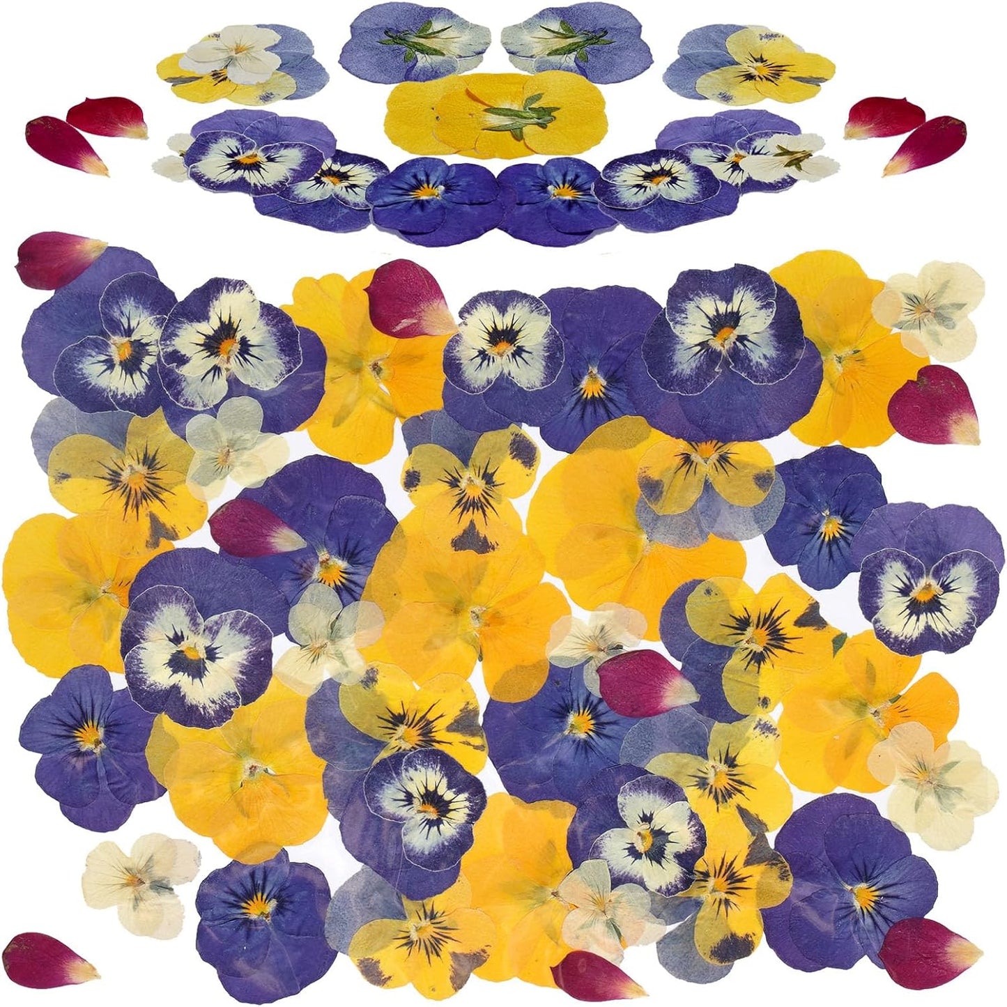 48 Pcs Mix Dried Pansy Flowers for Cake Topper Decoration, AHTONG Dried Pressed Flowers for Resin Jewelry Making Soap and Cupcake Decor(Pansy)