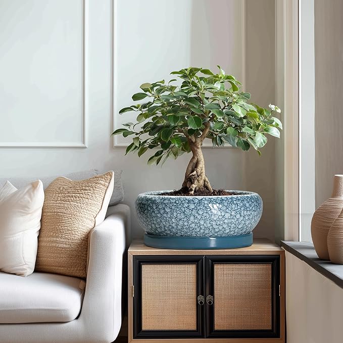 Large Succulent Planters - 13 Inch Ceramic Bonsai Pots with Drainage Hole and Saucer, Shallow Plant Pots Indoor Outdoor, Large Planter Bowl, Round Planter, Garden Decor, Gardening Gift, Blue