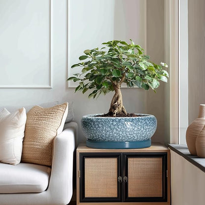 Large Succulent Planters - 13 Inch Ceramic Bonsai Pots with Drainage Hole and Saucer, Shallow Plant Pots Indoor Outdoor, Large Planter Bowl, Round Planter, Garden Decor, Gardening Gift, Blue