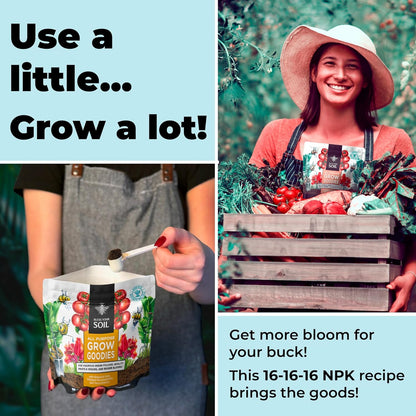 All Purpose Plant Food - Grow Goodies, High-Performance Fertilizer, Triple 16 NPK + Organic Superfoods and Micronutrients (Roses, Vegetables, Orchids, Tomatoes, Gardens, 1LB)