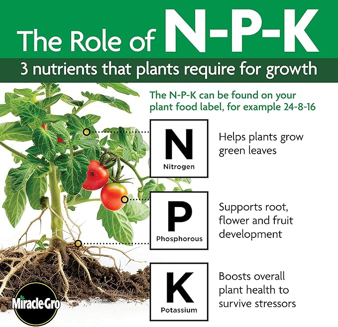 Miracle-Gro LiquaFeed All Purpose Plant Food Advance Starter Kit, For Flowers, Vegetables, Trees and Shrubs, One 16 oz. Plant Food and One Feeder
