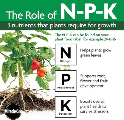 Miracle-Gro LiquaFeed All Purpose Plant Food Advance Starter Kit, For Flowers, Vegetables, Trees and Shrubs, One 16 oz. Plant Food and One Feeder