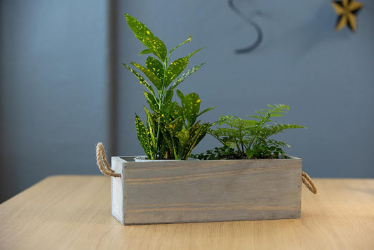 Wooden Planter Box with Handle, Rustic Barn Wood, Plastic Liner l Garden Decor l Restaurant and Wedding Decorations l Wedding Table Centerpiece (12x4 w Handle Set of 4, Natural)