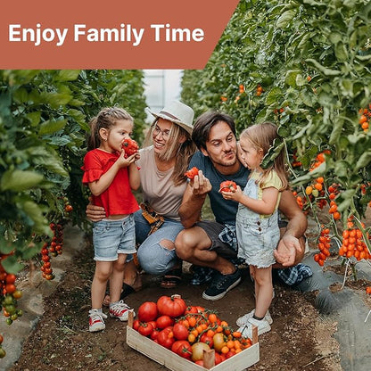 Cherokee Purple Tomato Seeds, Approx 106 Seeds - Non-GMO Heirloom Tomato Vegetable Seeds for Planting Garden Outdoor