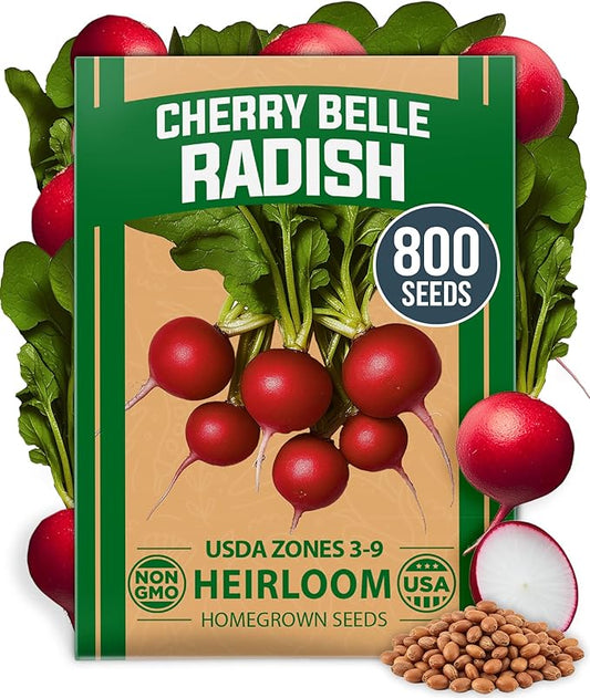 HOME GROWN 𝗨𝗦𝗔 𝗣𝗥𝗘𝗠𝗜𝗨𝗠 Cherry Belle Radish Seeds 800+ 𝗡𝗢𝗡-𝗚𝗠𝗢 Heirloom Vegetable Seeds for Planting Outdoors Harvest in 30 Days Red Radishes, Spring and Fall Gardens (Raphanus Sativus)