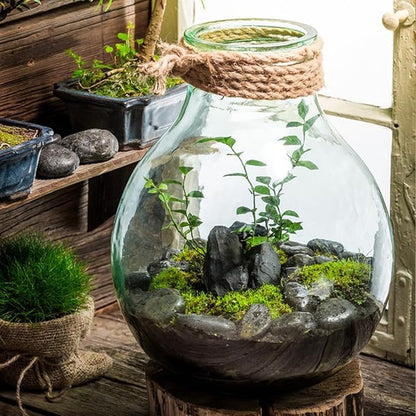 10 lbs Black Rocks Pebbles for Plants, 1-2 Inch Polished Black River Rocks for Planter Garden Landscaping Vase Yard Walkway Home Décor Paving Fountain and Outdoor Decorative Stones