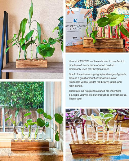 KAXYEW Plant Propagation Station, Plants Propagation Tubes, Gifts for Plant Lovers, Plants Cutting Holder Test Tube Vase Office Desk Garden Décor Gift for Her Mom Women Hydroponic Vase New Gift Box