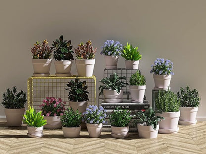 Fcacti 3 Inches Small Pink Terracotta Pots with Saucer, 12 Pack 3" Terra Cotta Planter with Drainage Holes, Small Clay Flower Pots for Plants, Succulents, Crafts, Wedding Favor