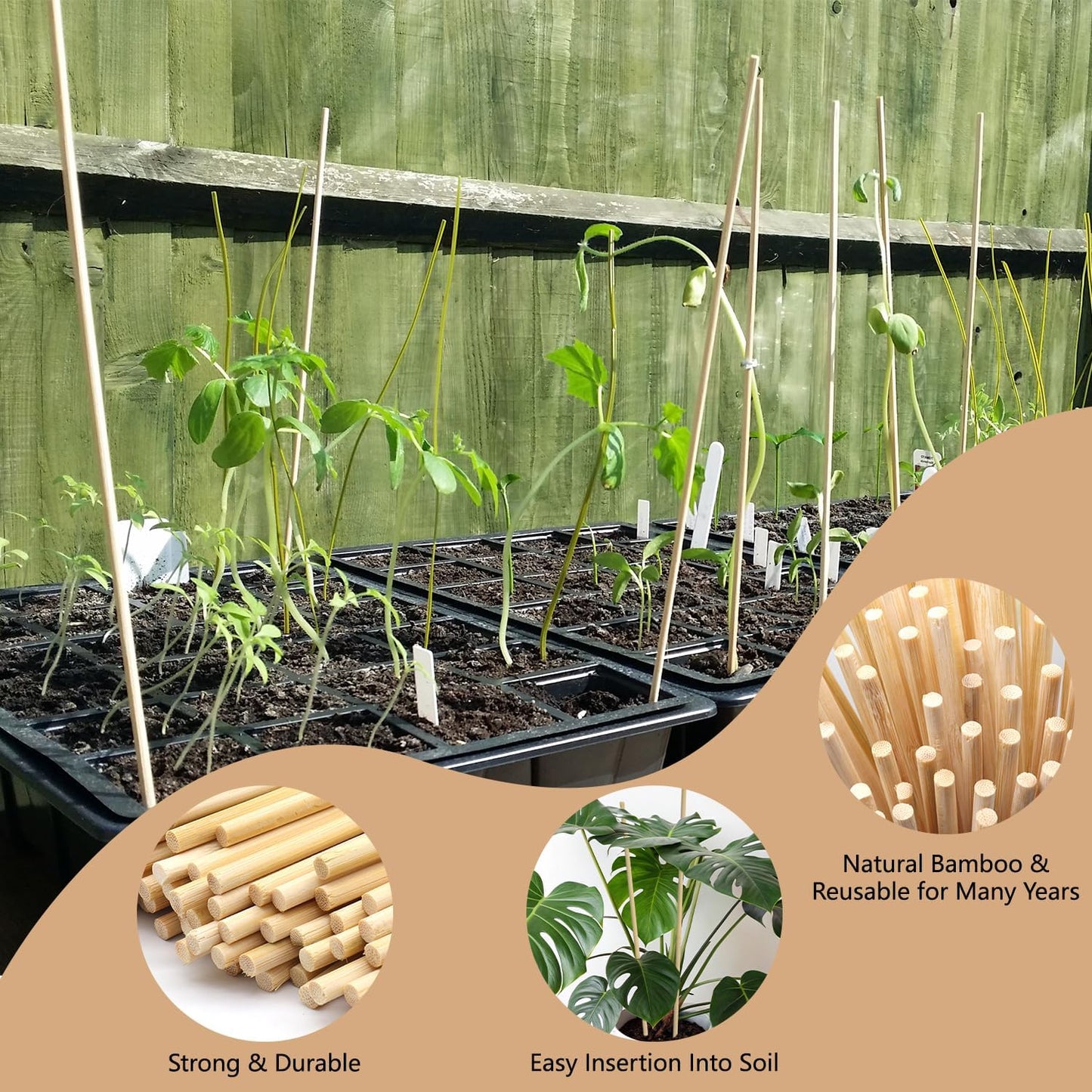 50PCS Bamboo Plant Stakes, 18Inch Natural Bamboo Sticks Garden Stake, HAINANSTRY Plant Support Stakes for Indoor and Outdoor Plants, Stakes for Gardening, Orchid Tomato Vegetable Stakes for Garden