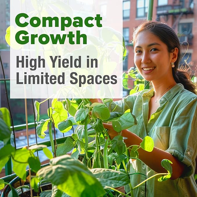 HOME GROWN 𝗨𝗦𝗔 𝗣𝗥𝗘𝗠𝗜𝗨𝗠 Contender Bush Bean Pack - 28 𝗡𝗢𝗡-𝗚𝗠𝗢 Heirloom Green Beans, Vegetable Seeds for Planting, Emergency Food Supply (Phaseolus vulgaris)