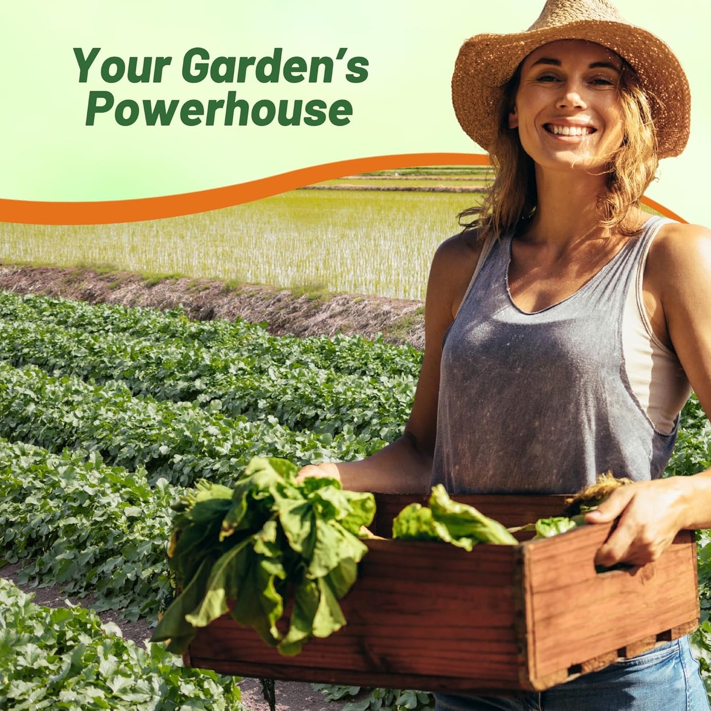 Outsidepride Annual Daikon Radish Seeds - 10 lbs. Chinese, Japanese, & Oriental Radish Seeds for Soil Health, Erosion Control, & Soil Aeration - Ideal for Gardens, Cover Crops, Pastures, & Food Plots