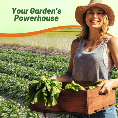 Outsidepride Annual Daikon Radish Seeds - 50 lbs. Chinese, Japanese, & Oriental Radish Seeds for Soil Health, Erosion Control, & Soil Aeration - Ideal for Gardens, Cover Crops, Pastures, & Food Plots