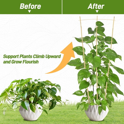 Avalution 10 Pack Bamboo Trellis for Climbing Plants, 4 FT Garden Ladder Trellis for Potted Plants Indoor, Fan-Shaped Small Plant Support Trellis for Houseplants Ivy Hoya Vine Monstera