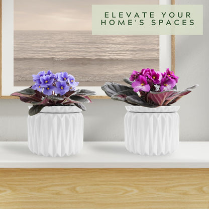 6 inch Self Watering Pot for Indoor Plants, African Violet Pot Ceramic, Flowers Planter (4 inch Opening), Holds 3 Weeks of Water (2 Pack White)