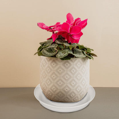 4 Pack of 16 inch Plant Saucer (13.8 Inch Base), 1.7" Depth Tray, Large Deep Garden Plastic Flower Planter Plant Trays for Indoors Outdoor Bath Bath (16", Clear)