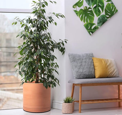 D'vine Dev Terracotta Pots for Plants, 8.3 Inch 10 Inch 12 Inch, Round Cylinder Planter Pot with Drainage and Saucer, 40-T-D-0