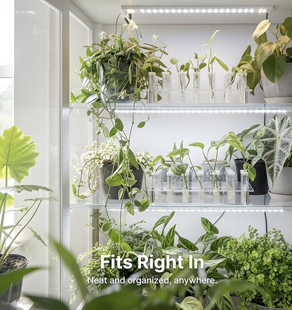 Plant Propagation Station, 24 Floral Tubes, Floral Arrangement Kit, Modern Acrylic Desktop Rack with Propagation Tubes for Hydroponics Rooting Cuttings, Bud Vase Holder, Plant Lover Gift