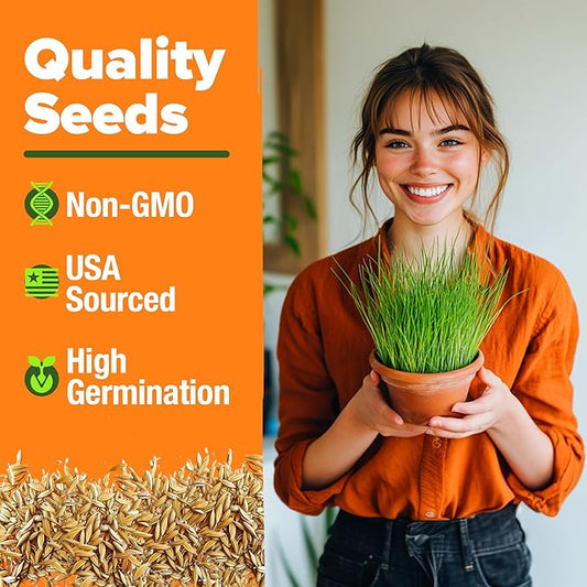 HOME GROWN 𝗨𝗦𝗔 𝗣𝗥𝗘𝗠𝗜𝗨𝗠 1 Pound Cat Grass Seeds for Cat & Kittens Oat & Barley Mix 100% 𝗡𝗢𝗡-𝗚𝗠𝗢 Heirloom, Grow Fresh Kitty Grass for Chewing, Pet Grass for Cats Indoor Garden