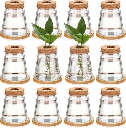 Baderke 12 Packs Plastic Desktop Vase with Hole Lid and Bamboo Stand Plant Propagation Stations Plant Growing in Water Hydroponic Home Office Table Decoration (Fresh Style)