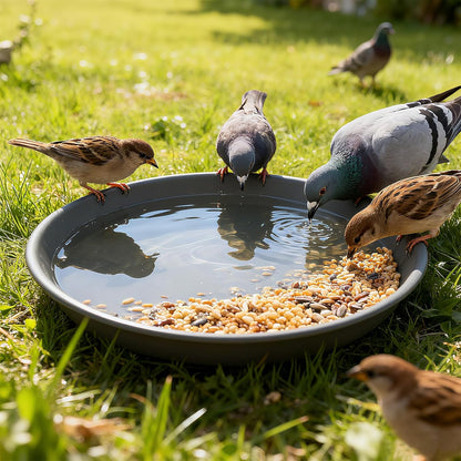 TITE Plant Saucer Heavy Large Planter Durable Thicker Plastic Plant Trays for Indoors and Outdoor,Plant Saucer Drip Trays (Grey, 12 inch)