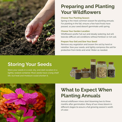 Eden Brothers Cosmic Zen Flower Mixed Seeds for Planting, 5 lb, 2,400,000+ Seeds with Zinnia Dahlia Flowered, Cosmos Sensation | Attracts Pollinators, Plant in Spring, Zones 3, 4, 5, 6, 7, 8, 9, 10