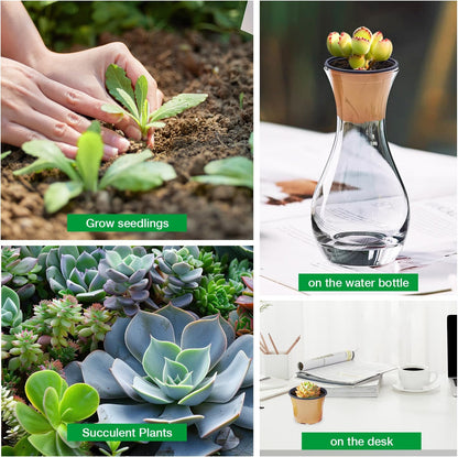 100 Pack 2.8" Nursery Pots, Plastic Pots for Plants, Small Plant Pots for Succulents, Seedlings, Flowers, Cuttings, Transplanting（Ochre Color）