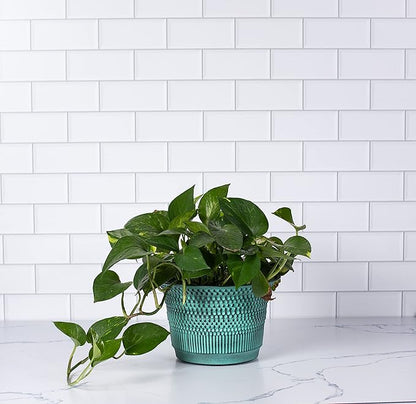 BIRDROCK HOME 2 Pack 9.5" Beaded Planter - Indoor or Outdoor Plant Flower - Flowers Plants Trees Porch Garden Pots - Rust and Weather Resistant - Faux Patina