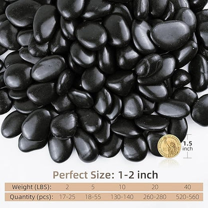 10lbs Black Pebbles for Plants, 1-2Inch Natural River Rocks for Aquarium, High Polished Decorative Stones for Vase Filler Fish Tank Landscaping Garden