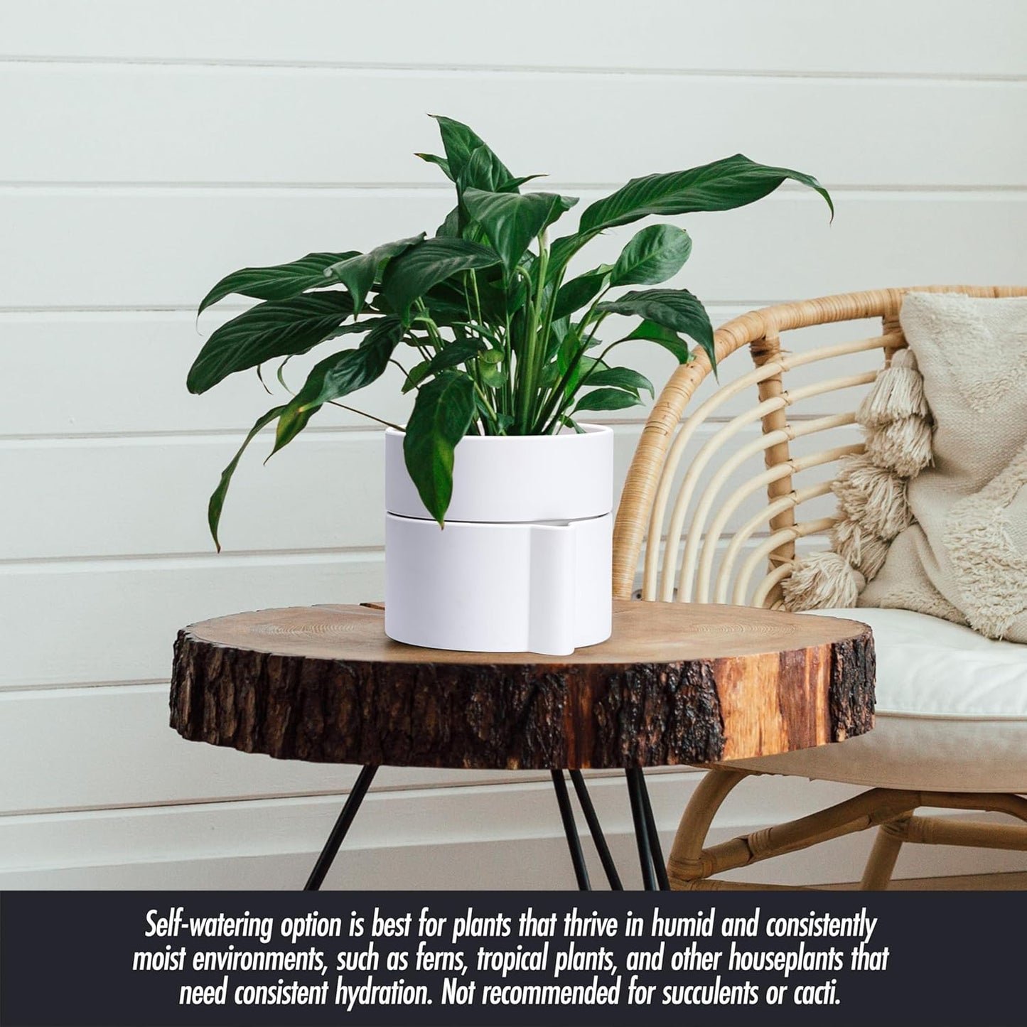 Phoenix Vine 6.5 Inch Self-Watering Planter Pot with Terracotta Insert, Deep Water Reservoir, and Ceramic-Alike BPA-Free Plastic Pot for Plant, Modern Planter for Houseplants, White, 53-A-S-1