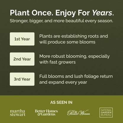 Eden Brothers All Perennial Wildflower Mixed Seeds for Planting, 50 lb, 24,000,000+ Seeds with Lupine, Shasta Daisy | Attracts Pollinators, Plant in Spring or Fall, Zones 3, 4, 5, 6, 7, 8, 9, 10