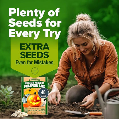 HOME GROWN 𝗨𝗦𝗔 𝗣𝗥𝗘𝗠𝗜𝗨𝗠 5 Pumpkin Seeds Mix - 40 Seeds 𝗡𝗢𝗡-𝗚𝗠𝗢 Heirloom Pumpkin for Planting Ideal Garden for Unique Varieties Yellow Paris and Casper, Culinary and Decorative Use